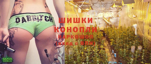 мдпв Коряжма