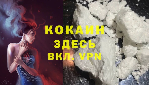 мдпв Коряжма