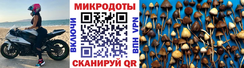 Галлюциногенные грибы Cubensis  дарк нет Telegram  Малоярославец 
