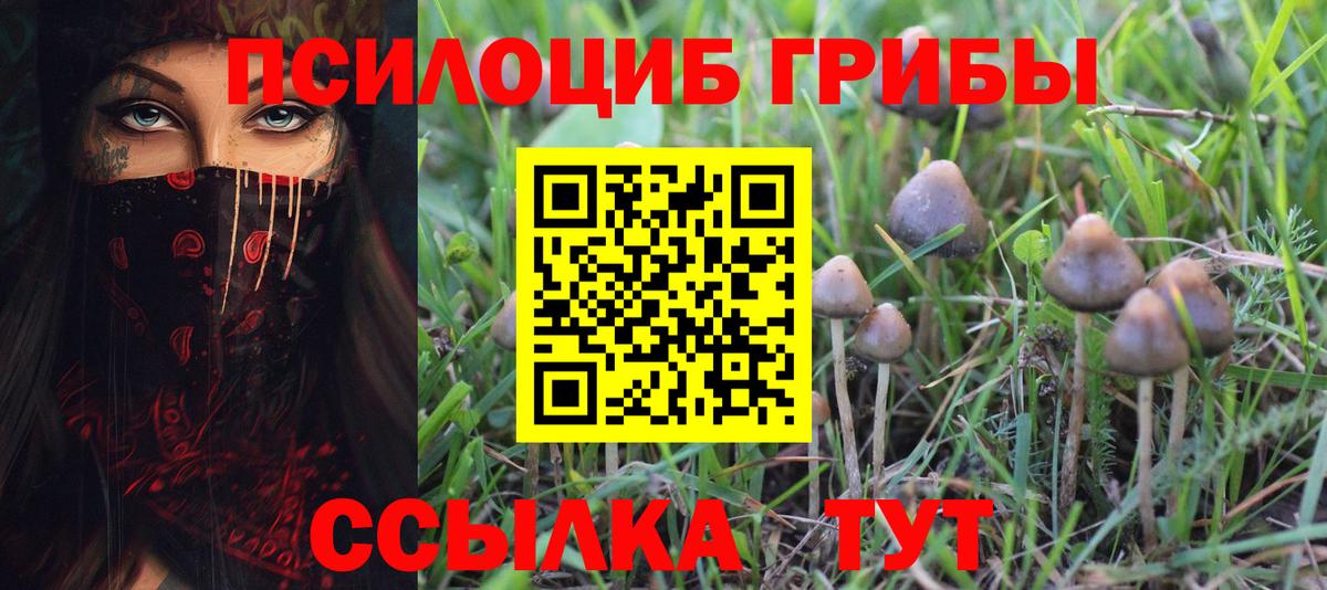 Малоярославец  Галлюциногенные грибы Magic Shrooms  купить наркоту  Вход с VPN 