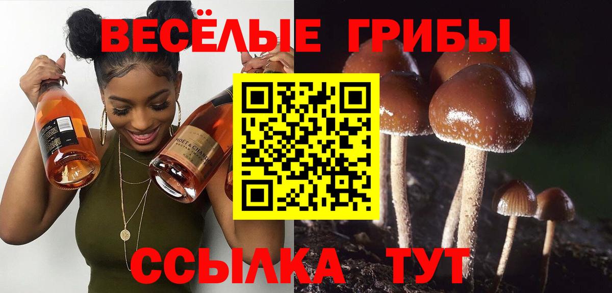 Галлюциногенные грибы прущие грибы Малоярославец